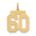 10k Medium Satin Number 60 Charm