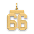 10k Medium Satin Number 66 Charm