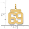 14k Medium Satin Number 69 Charm