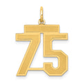 10k Medium Satin Number 75 Charm