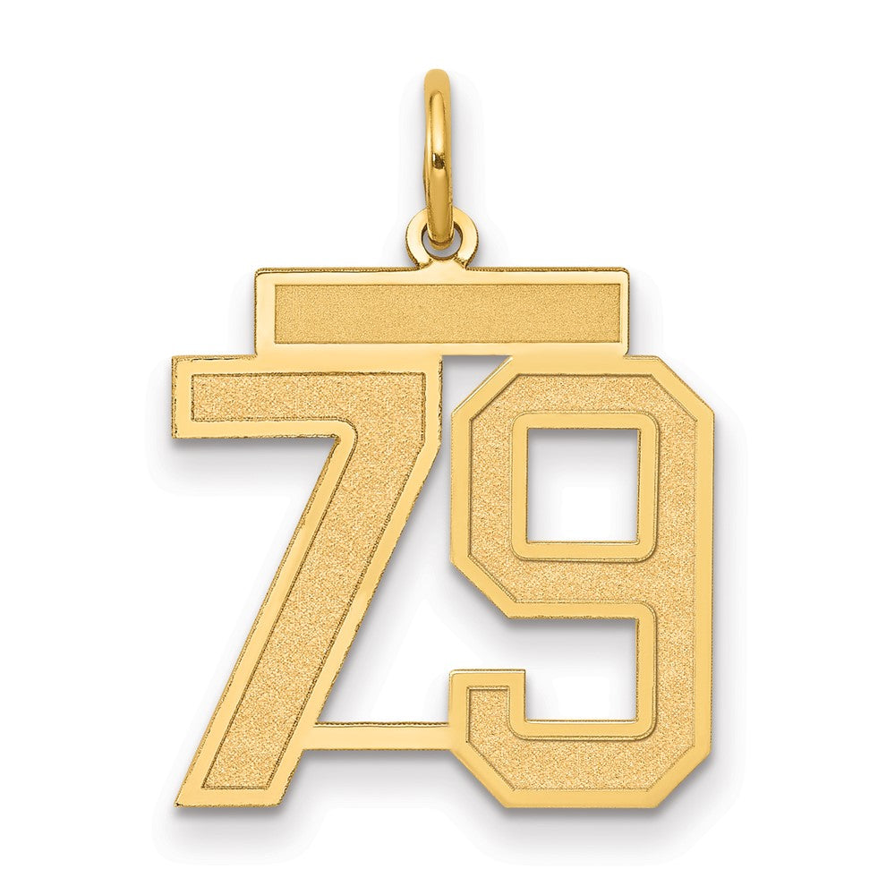 14k Medium Satin Number 79 Charm