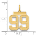 10k Medium Satin Number 99 Charm