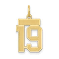 14k Small Satin Number 19 Charm