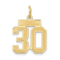 10k Small Satin Number 30 Charm