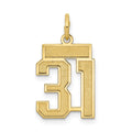 10k Small Satin Number 31 Charm