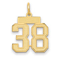 10k Small Satin Number 38 Charm
