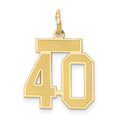 10ky Small Satin Number 40 Charm