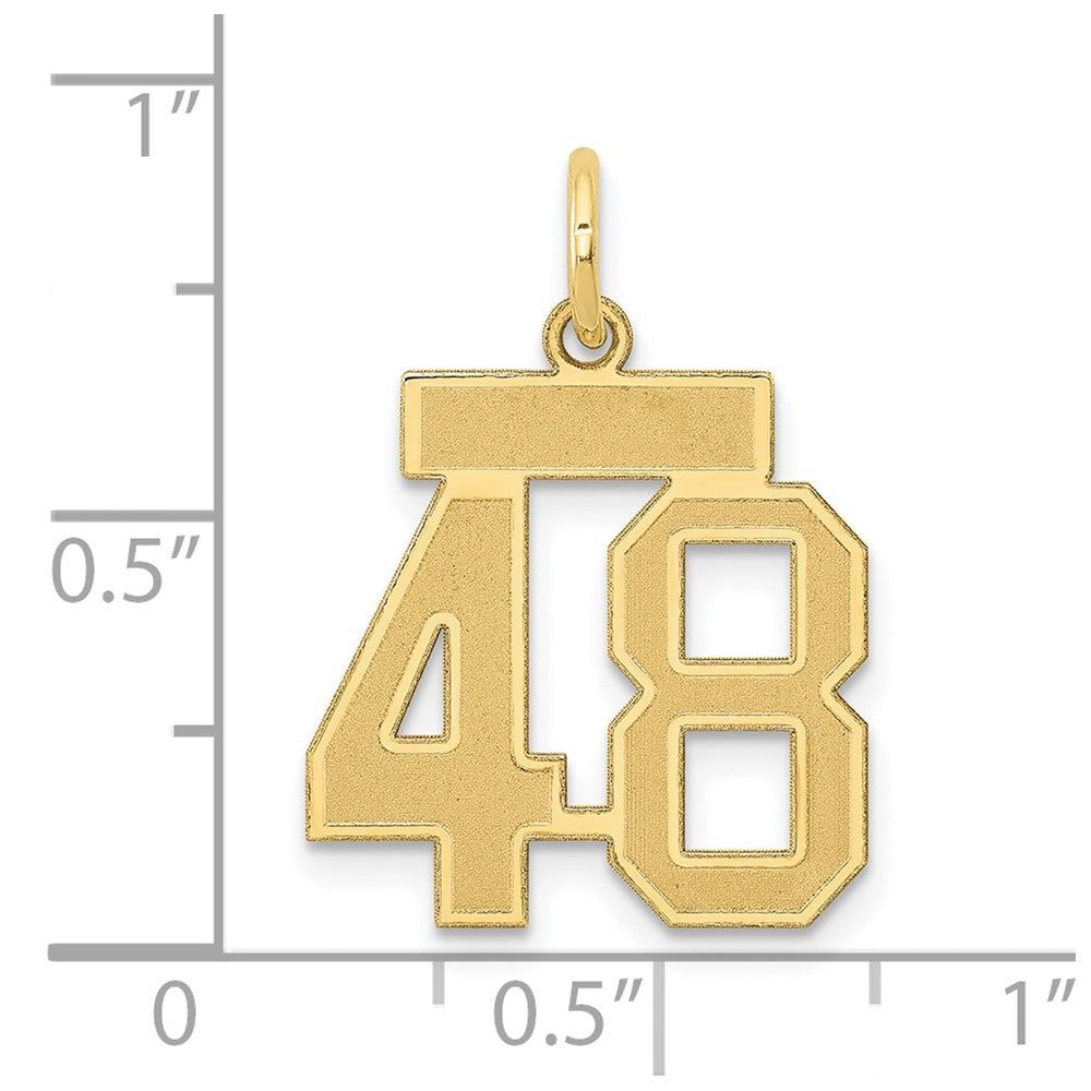 14k Small Satin Number 48 Charm