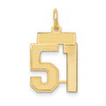 10k Small Satin Number 51 Charm