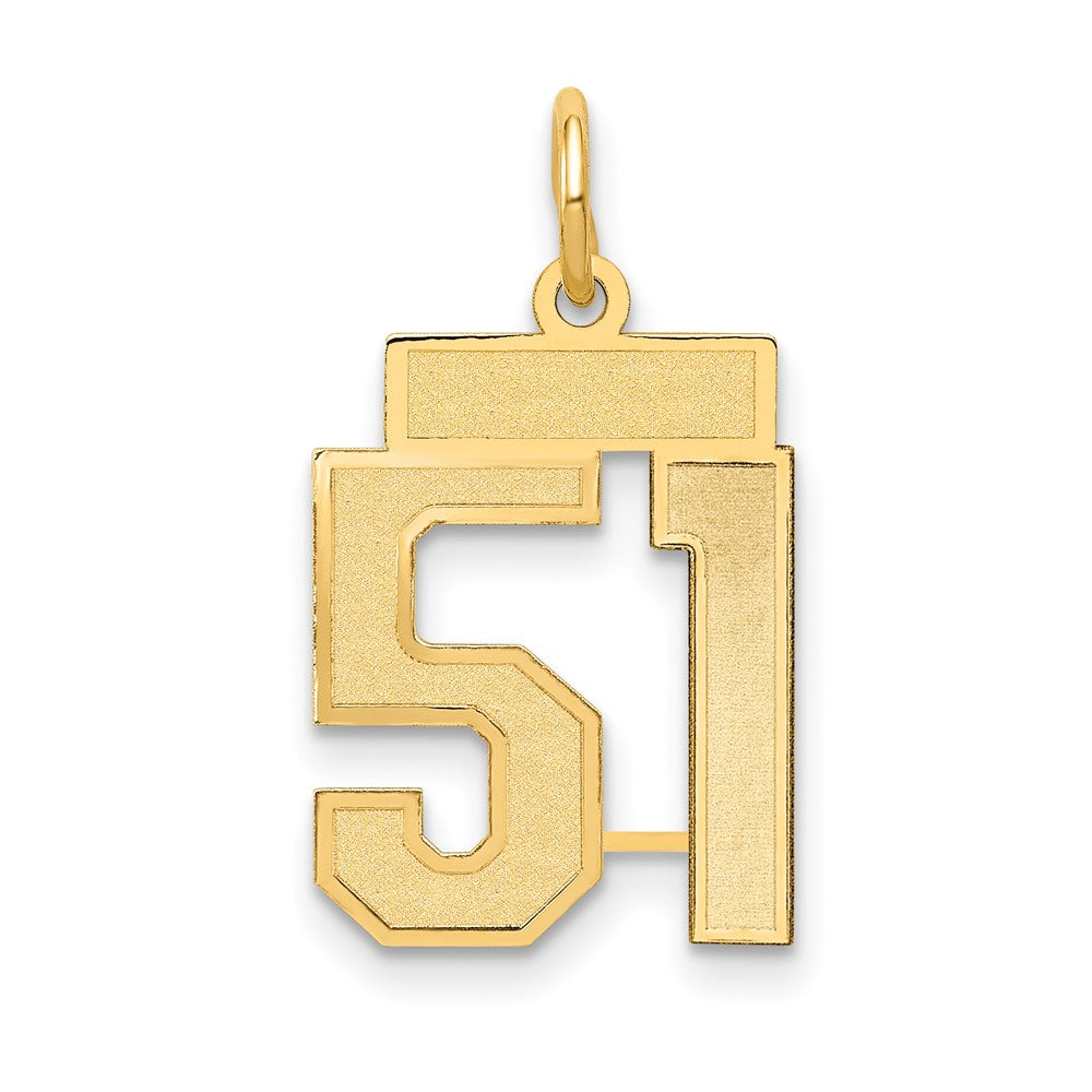 10k Small Satin Number 51 Charm