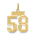 10k Small Satin Number 58 Charm