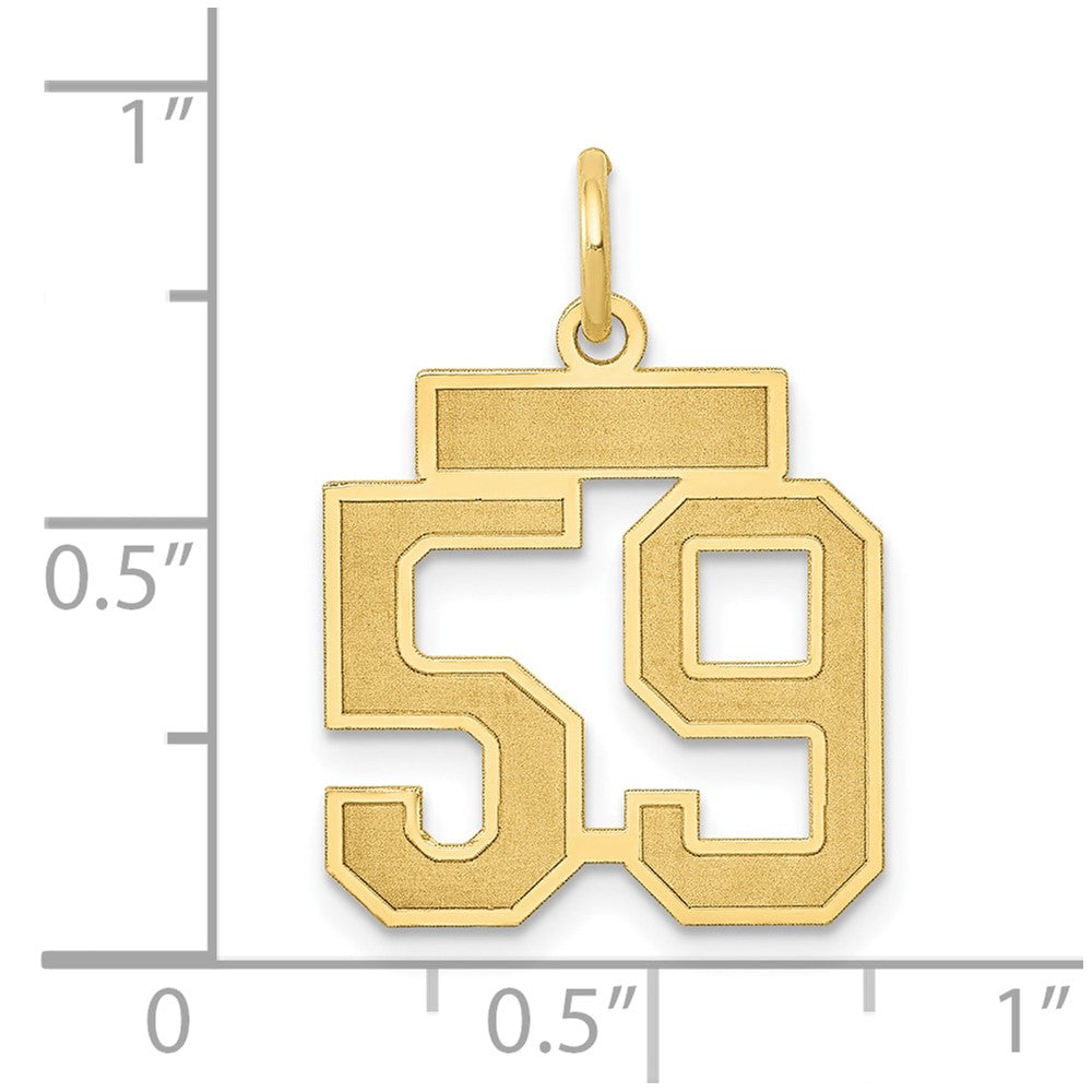14k Small Satin Number 59 Charm