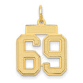 14k Small Satin Number 69 Charm