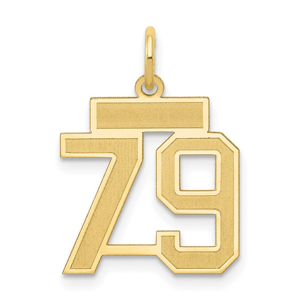 10k Small Satin Number 79 Charm