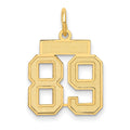 10k Small Satin Number 89 Charm