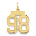 10k Small Satin Number 98 Charm