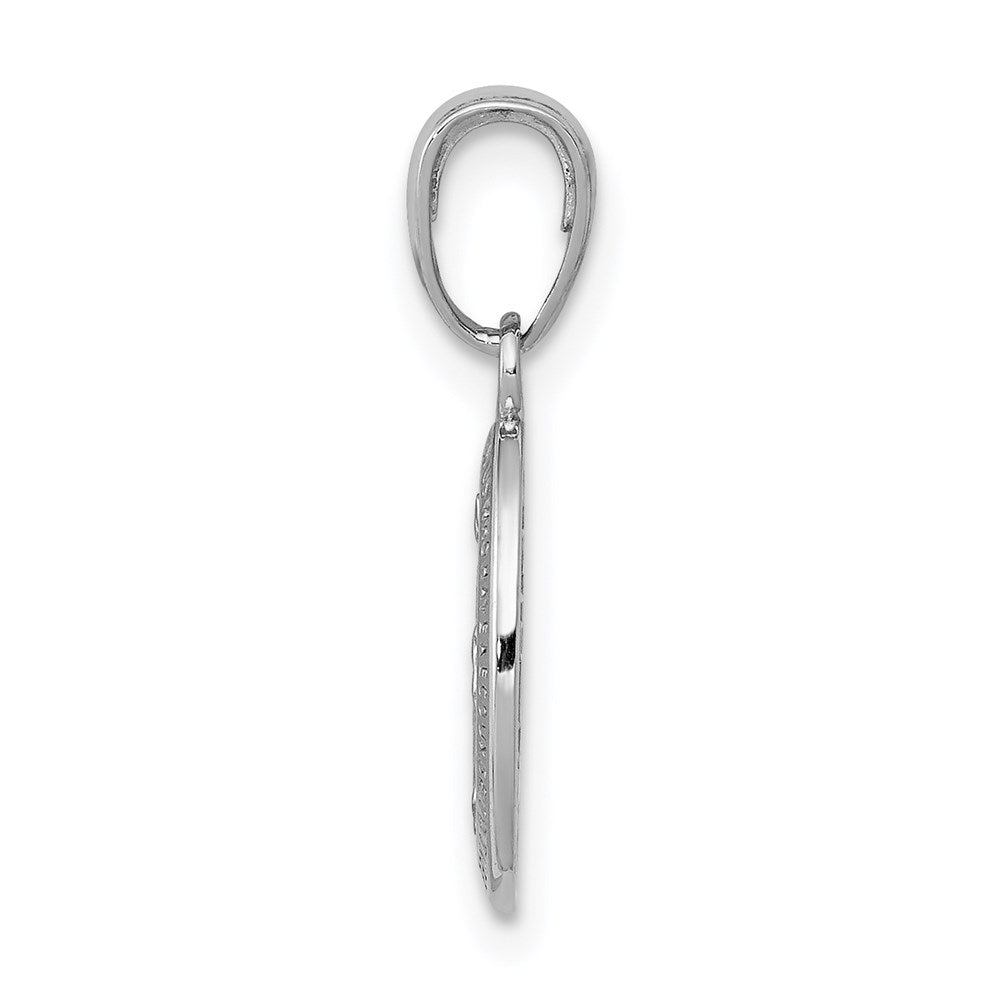 14k White Gold Miraculous Medal Charm