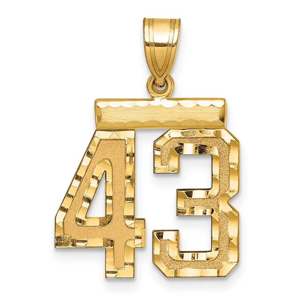 14k Medium Diamond-cut Number 43 Charm