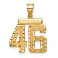 14k Medium Diamond-cut Number 46 Charm