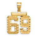 14k Medium Diamond-cut Number 69 Charm