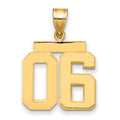 10k Medium Polished Number 06 Charm