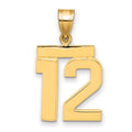 14k Medium Polished Number 12 Charm