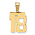 10k Medium Polished Number 18 Charm
