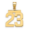 10k Medium Polished Number 23 Charm