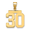 10k Medium Polished Number 30 Charm