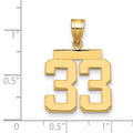 14k Medium Polished Number 33 Charm