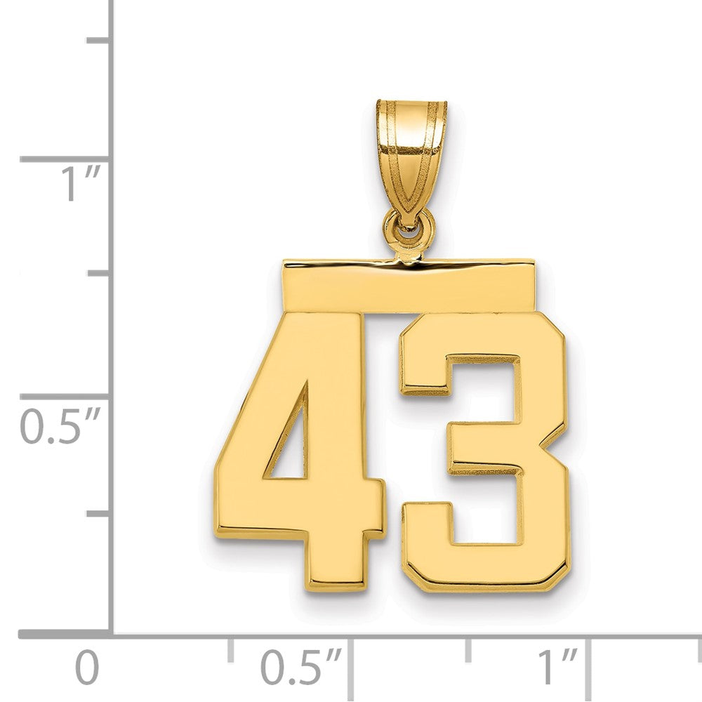 14k Medium Polished Number 43 Charm
