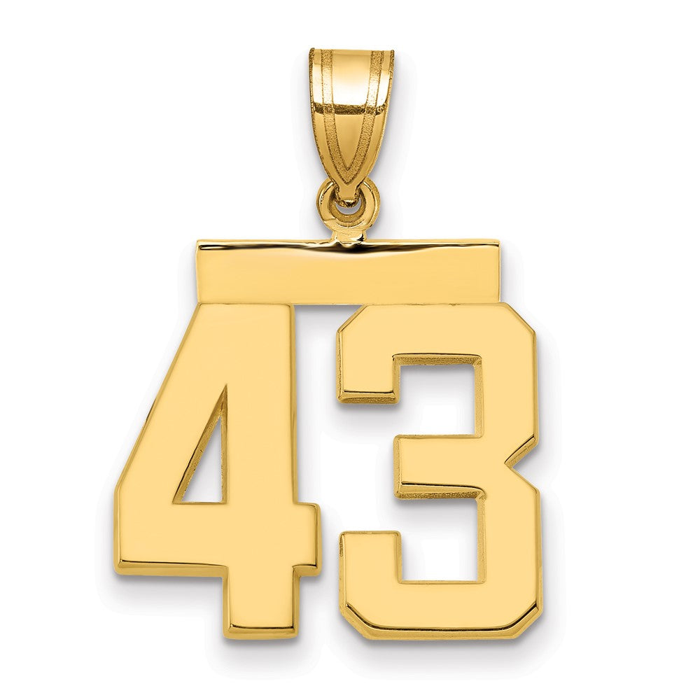 10k Medium Polished Number 43 Charm