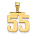 10k Medium Polished Number 55 Charm
