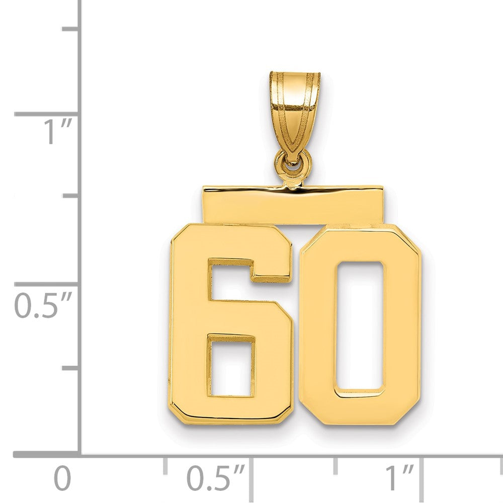 10k Medium Polished Number 60 Charm