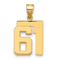 10k Medium Polished Number 61 Charm