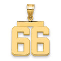 14k Medium Polished Number 66 Charm