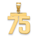10k Medium Polished Number 75 Charm