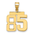 10k Medium Polished Number 85 Charm