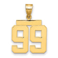 14k Medium Polished Number 99 Charm