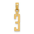 14k Polished Number 33 Pendant