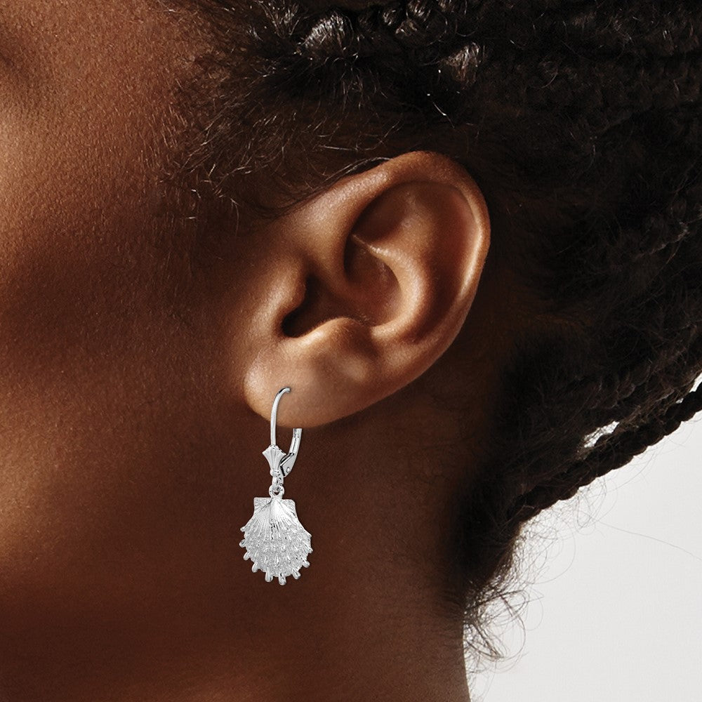Sterling Silver Polished Lions Paw Shell Leverback Earrings