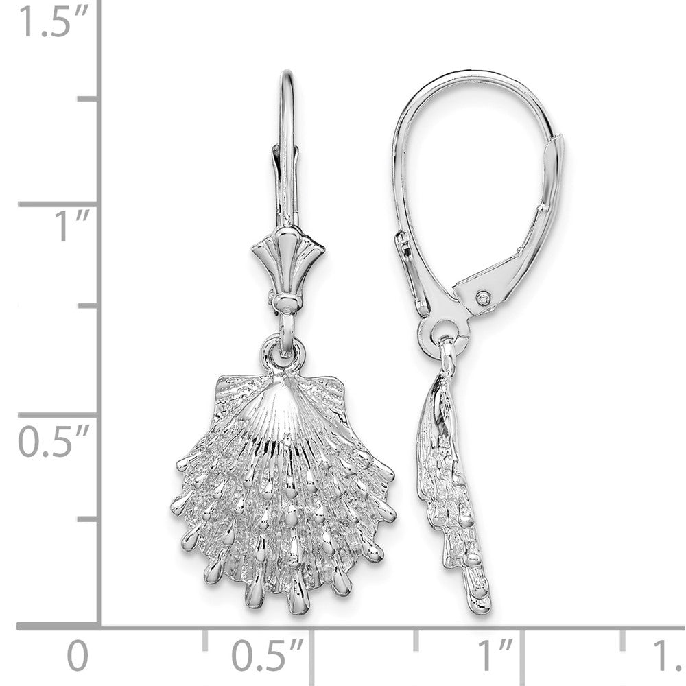 Sterling Silver Polished Lions Paw Shell Leverback Earrings