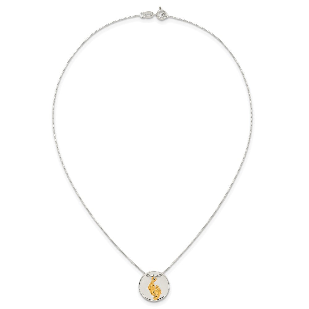 Sterling Silver Gold-tone Polished Footprint Disc Necklace