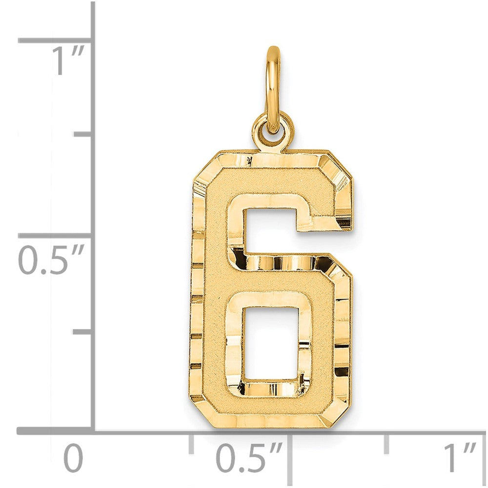 Sterling Silver Gold-plated Large Diamond-cut #6 Charm