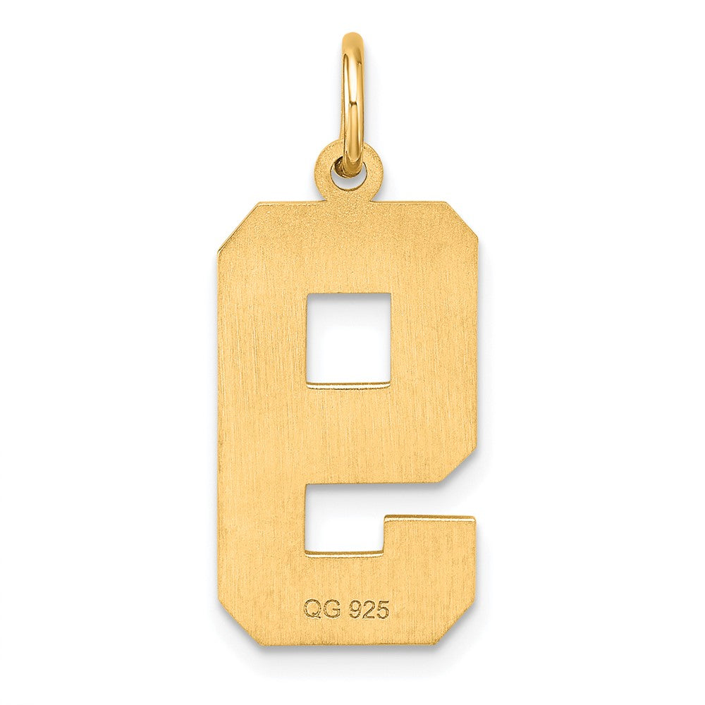 Sterling Silver Gold-plated Large Diamond-cut #9 Charm