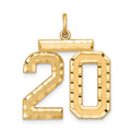 Sterling Silver Gold-plated Large Diamond-cut #20 Charm