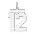Sterling Silver/Rhodium-plated Polished Number 12 Charm