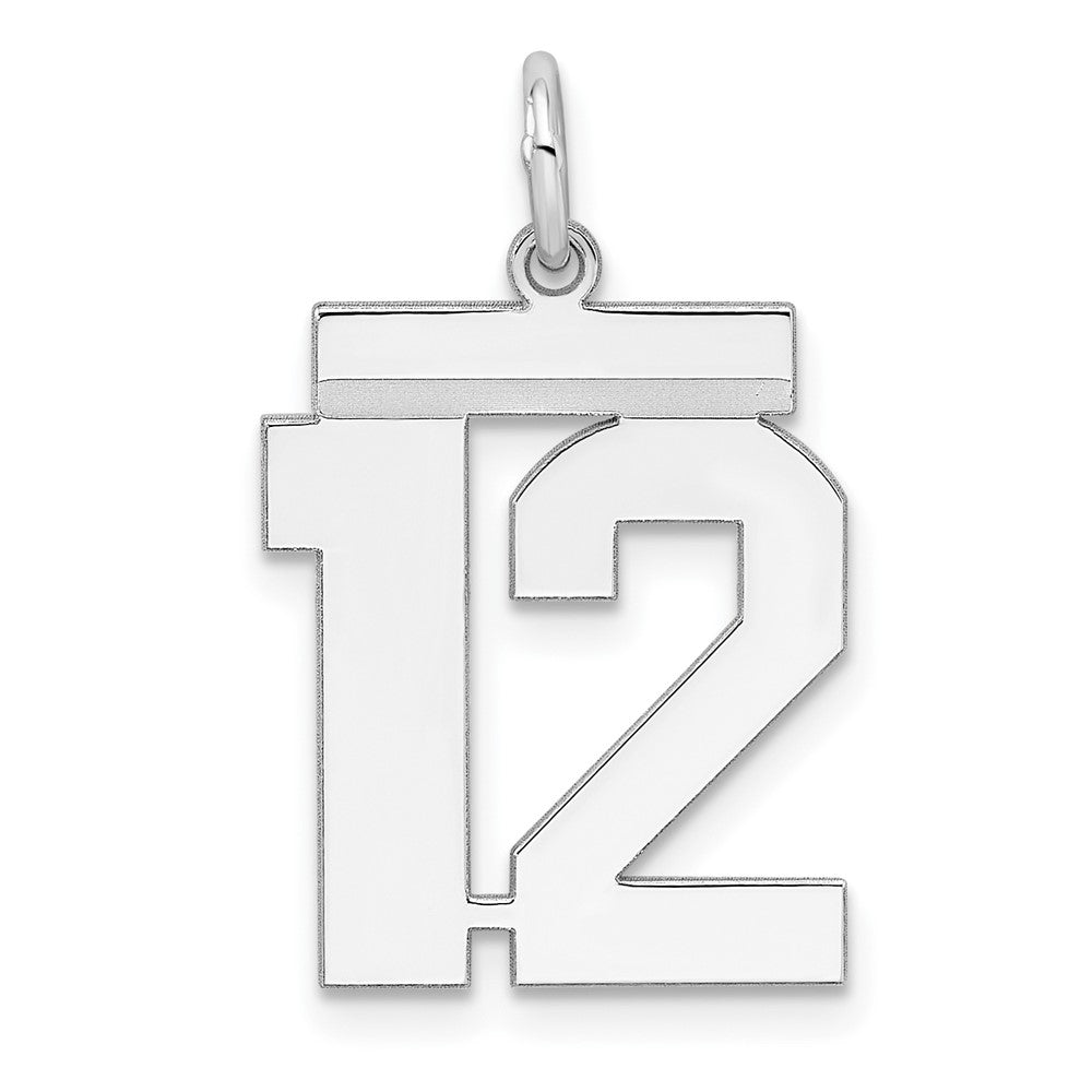 Sterling Silver/Rhodium-plated Polished Number 12 Charm