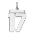 Sterling Silver/Rhodium-plated Polished Number 17 Charm