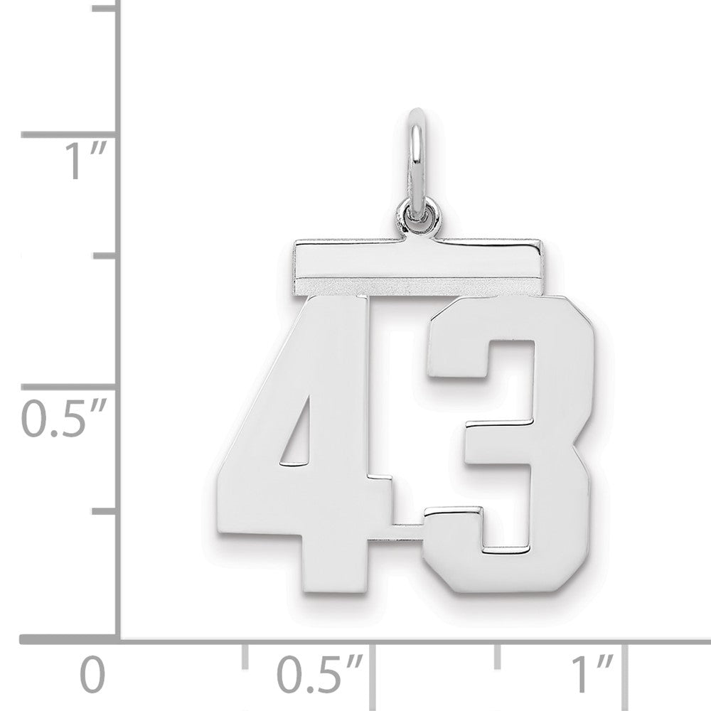 Sterling Silver/Rhodium-plated Polished Number 43 Charm